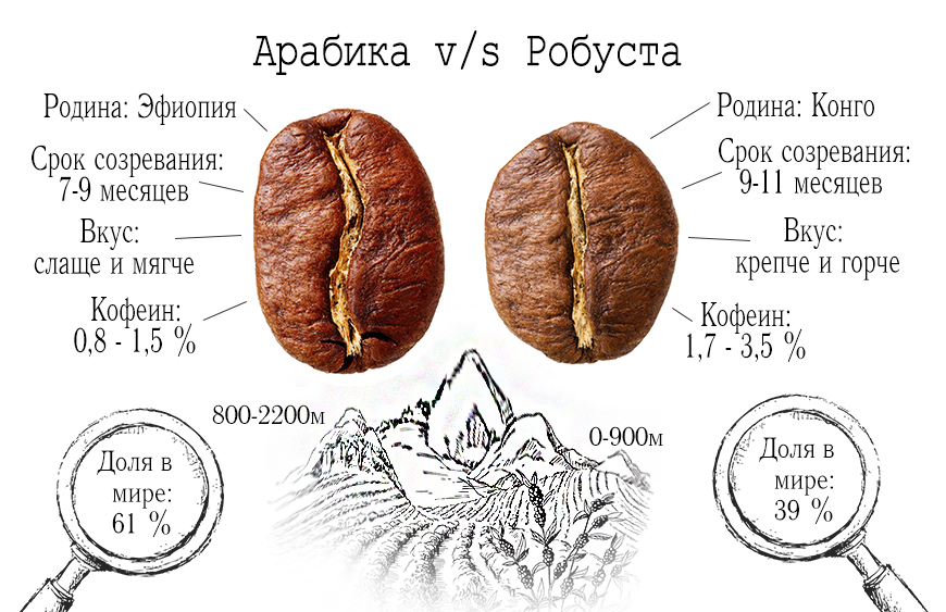 Робуста V/S Арабика