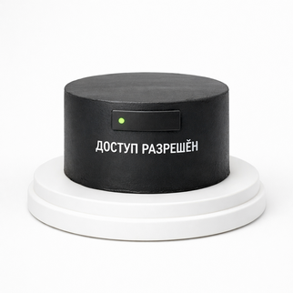 Торт черный в стиле минимализм