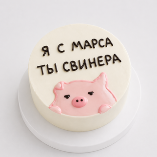 Бенто торт с надписью «я с Марса, ты свинера»
