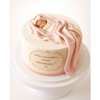 Торт на выписку с младенцем и пледом