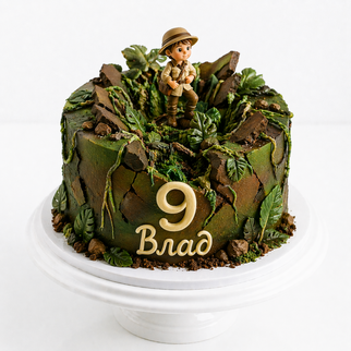 Торт с исследователем и джунглями на 9 лет