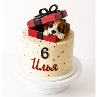 Торт с щенком в подарке на 6 лет