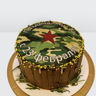? Торт милитари для мужчин на 23 февраля зеленый , облитый шоколадом с надписью
