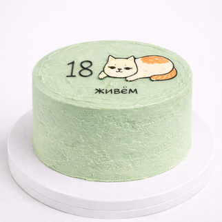 Бенто торт на 18 лет с надписью «живём» с котиком