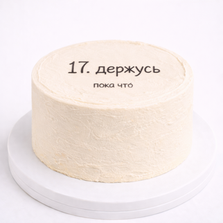Бенто торт на 17 лет с надписью «держусь пока что»