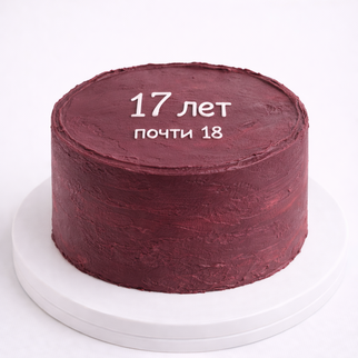 Бенто торт на 17 лет с надписью «почти 18»