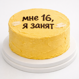 Бенто торт на 16 лет с надписью «я занят»