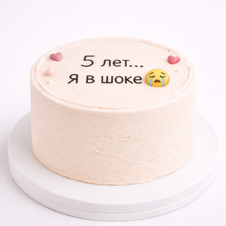 Бенто торт на 5 лет с надписью «я в шоке»