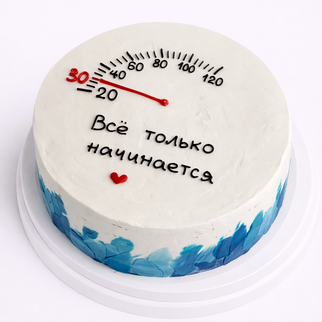 Бенто торт на 30 лет со спидометром и надписью «всё только начинается»