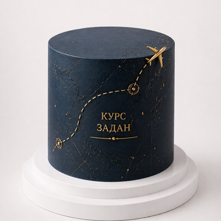 Торт самолет в ночном небе