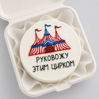 Бенто торт с цирком и шуточной надписью — с юмором для яркого и запоминающегося поздравления